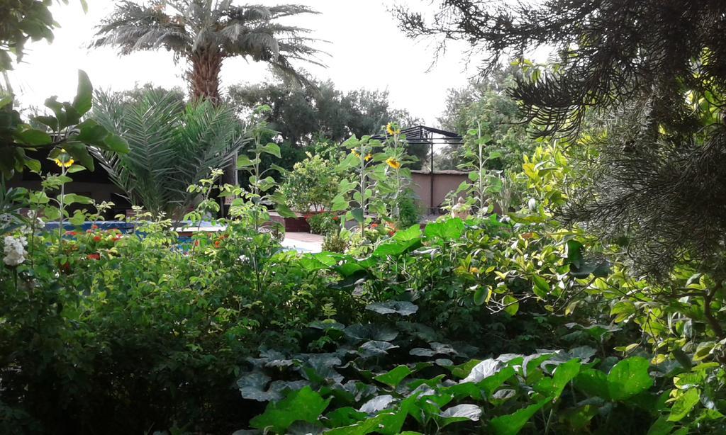 Bed and Breakfast Bassatine Skoura Zewnętrze zdjęcie